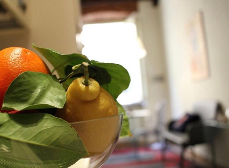 Delicious Santa Croce Apartment Lucca Bagian luar foto